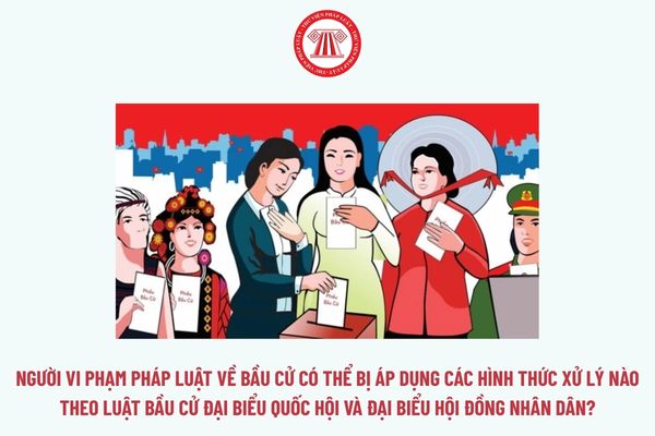 Pháp luật
