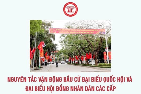 Pháp luật