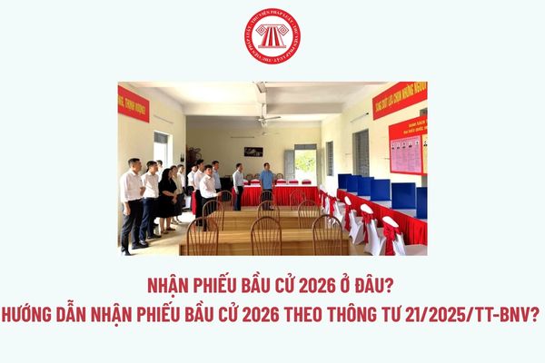 Pháp luật