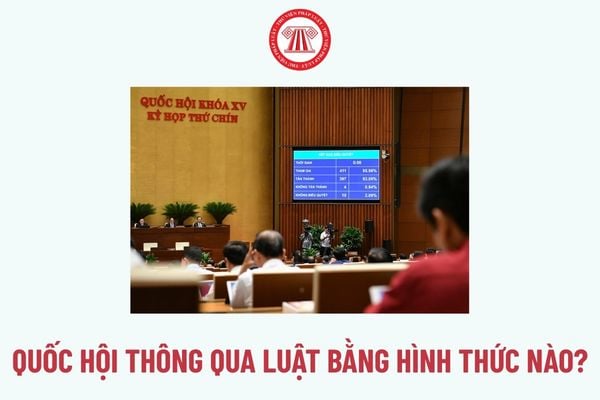 Pháp luật