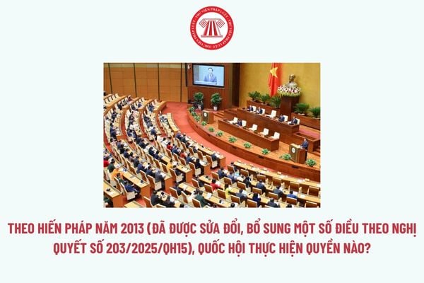 Pháp luật
