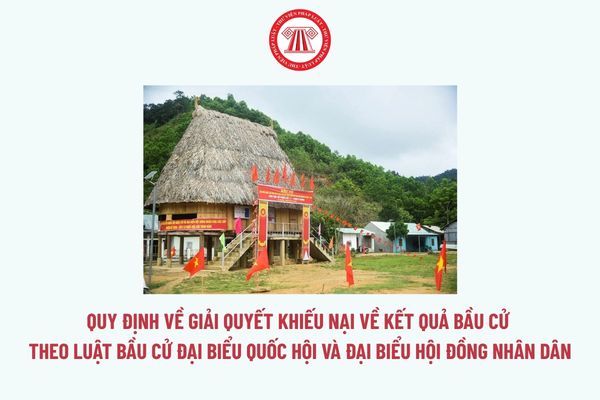 Pháp luật