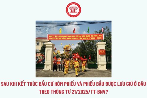 Pháp luật
