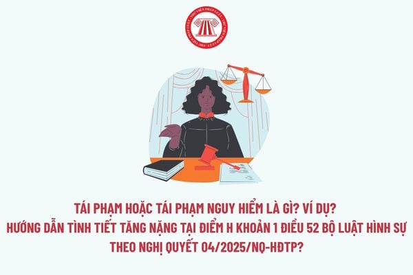 Pháp luật