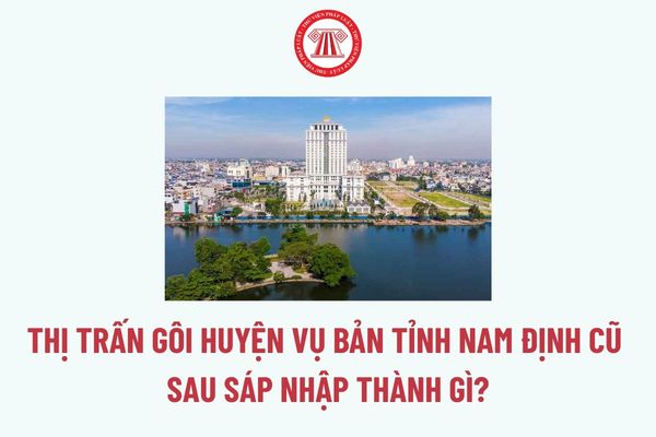 Pháp luật