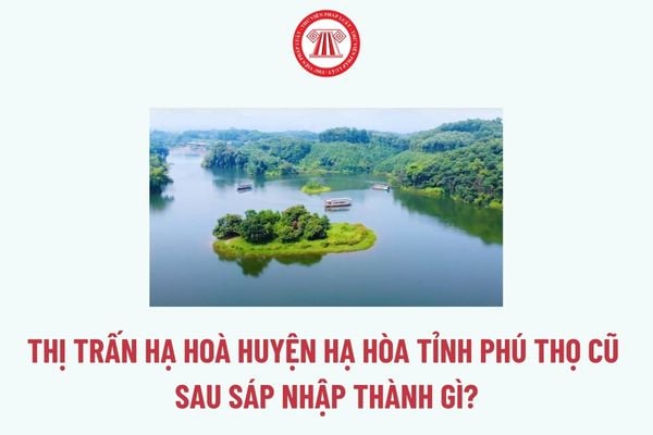 Pháp luật