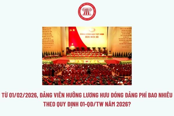 Pháp luật