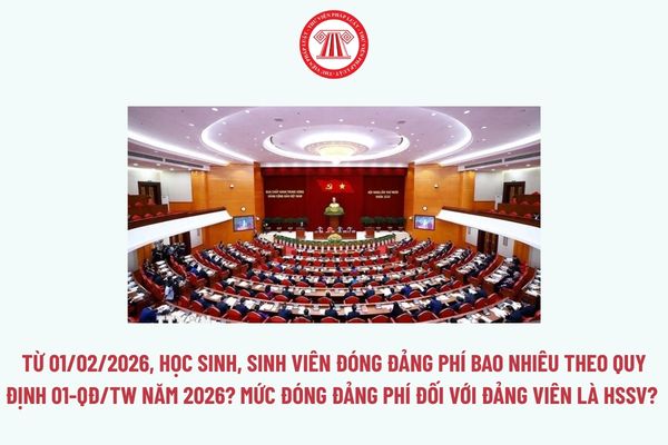 Pháp luật