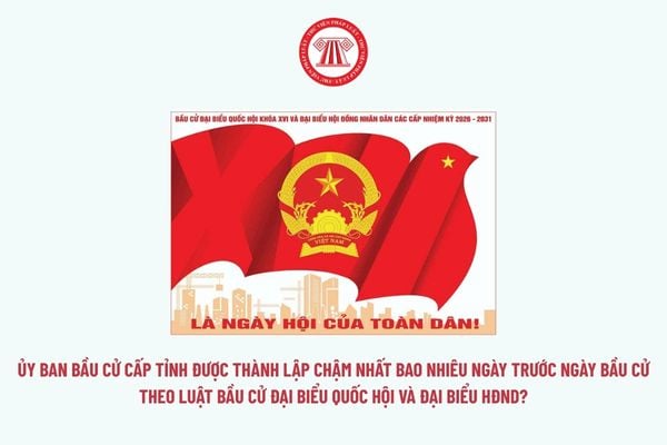Pháp luật