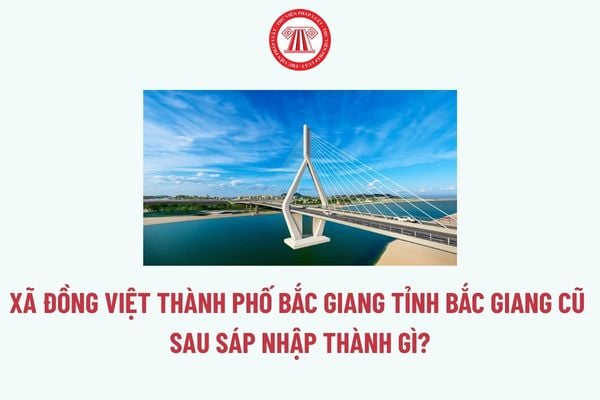 Pháp luật