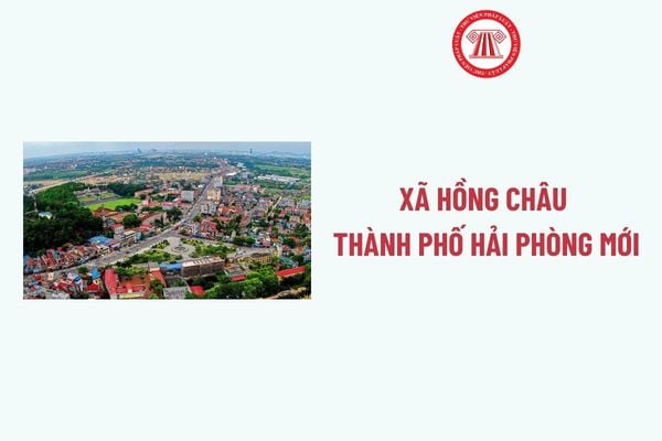 Pháp luật
