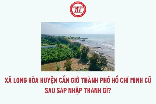 Pháp luật