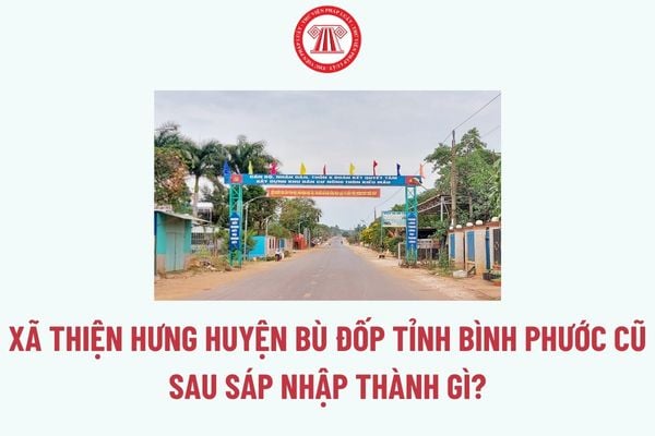 Pháp luật