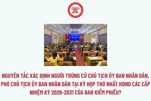 Pháp luật