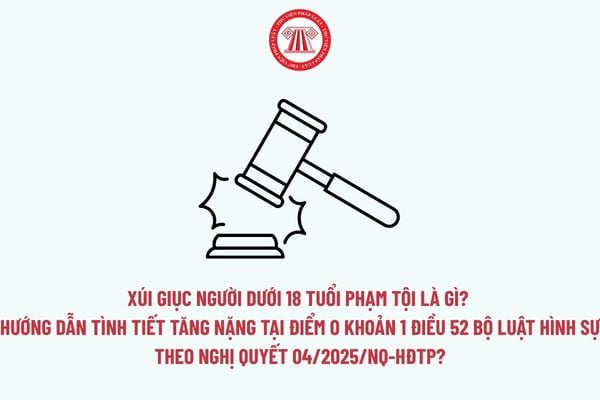 Pháp luật