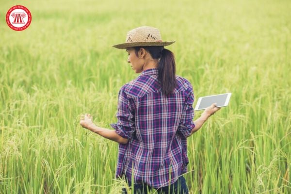 Người đã từng là chủ nhiệm dự án khuyến nông có được đăng ký tham gia chủ trì dự án khuyến nông trung ương nữa không?