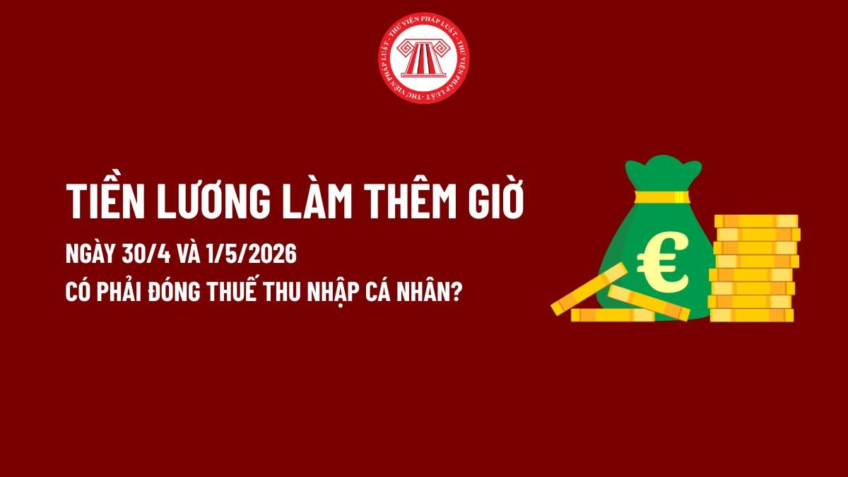 Pháp luật