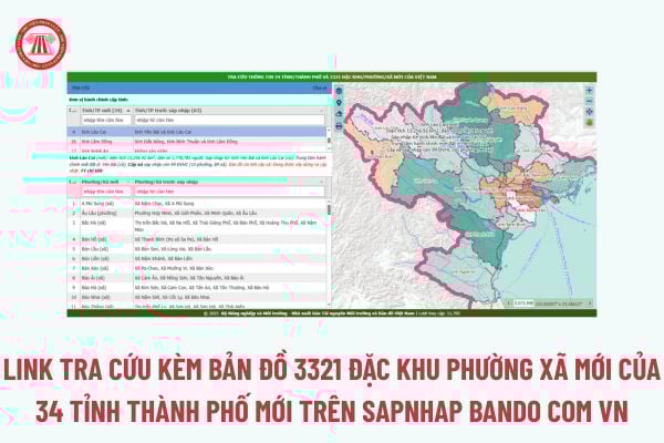 Pháp luật