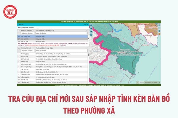 Pháp luật