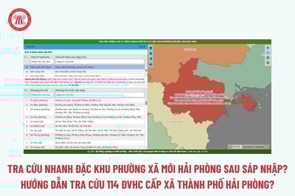 Pháp luật