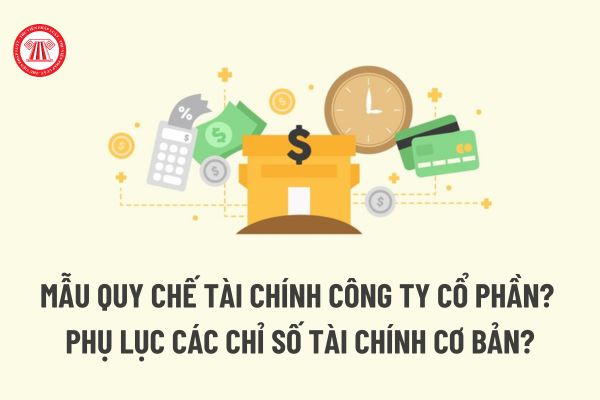 Mẫu Quy chế tài chính công ty cổ phần? Phụ lục các chỉ số tài chính cơ bản: công thức tính kèm theo?