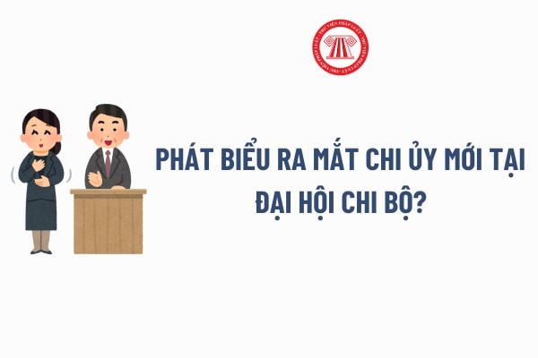 Phát biểu ra mắt chi ủy mới Đại hội chi bộ? Mẫu Bài Phát biểu ra mắt hạ quyết tâm của BCH chi bộ?