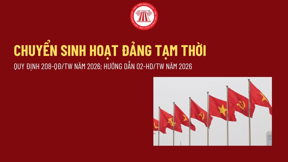 Pháp luật