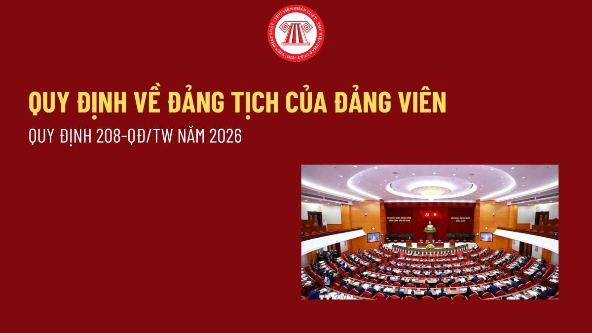 Pháp luật