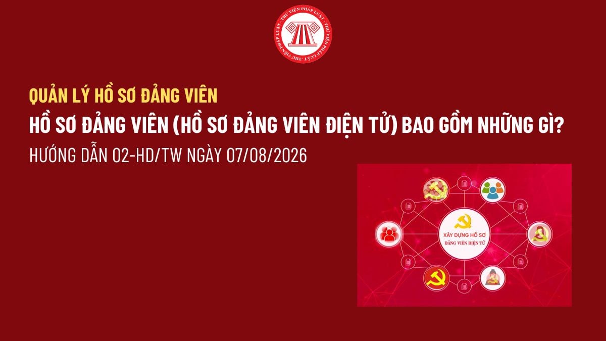 Pháp luật