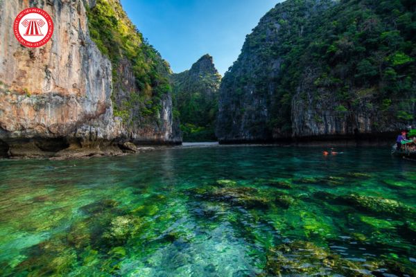 Bộ Tài nguyên và Môi trường có được chỉ định đầu mối thông tin, liên lạc với các tổ chức quốc tế đối với di sản thiên nhiên được tổ chức quốc tế công nhận không?