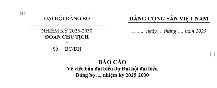 Mẫu báo cáo bầu đại biểu dự Đại hội Đảng bộ