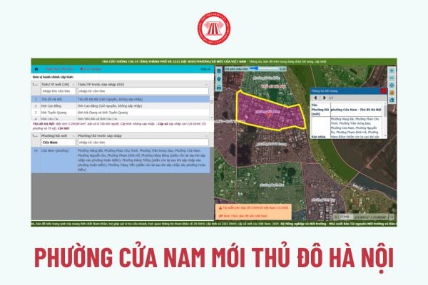 Pháp luật