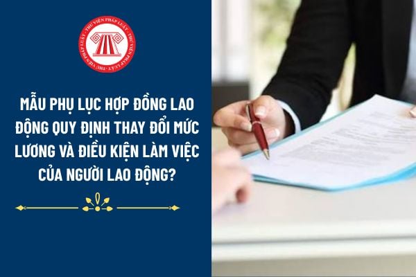 Lao Động Tiền Lương