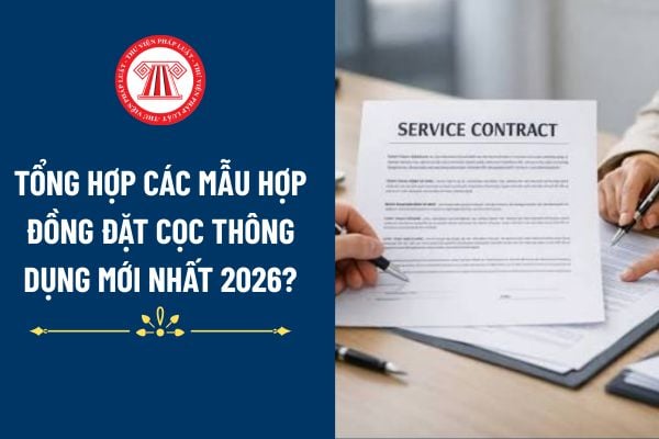 Pháp luật
