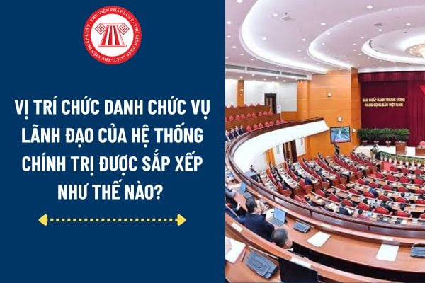 Pháp luật