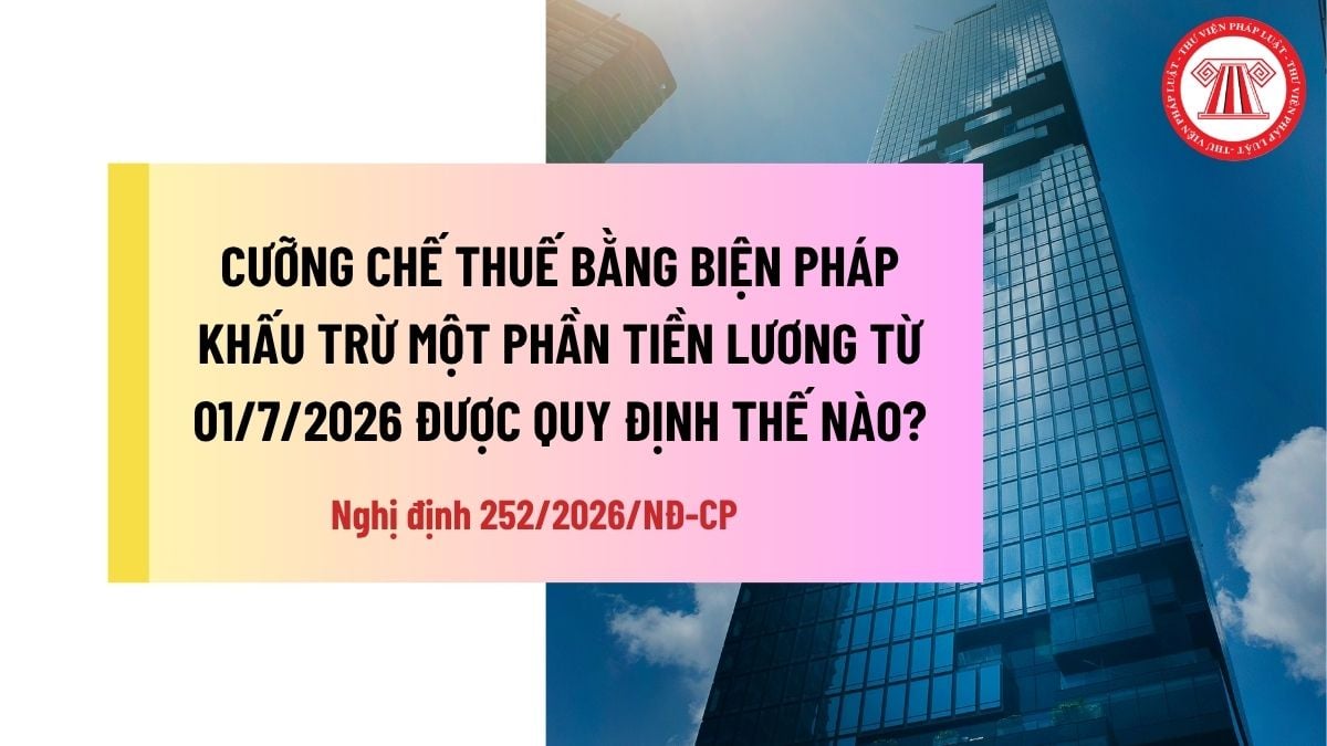Pháp luật
