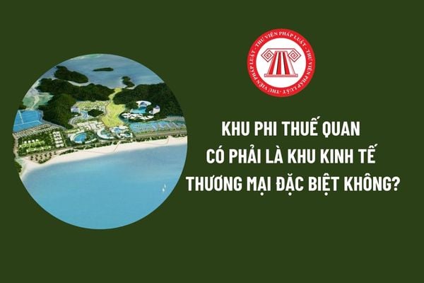 Khu kinh tế thương mại đặc biệt có phải là khu phi thuế quan không? Bảo đảm quốc phòng, an ninh là điều kiện để thành lập khu kinh tế? 