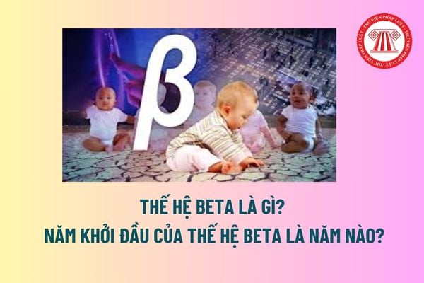 Thế hệ Beta là gì? Năm khởi đầu của Thế hệ Beta là năm nào? Sinh vào năm khởi đầu của Thế hệ Beta là người thành niên năm bao nhiêu?