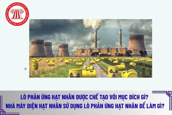 Pháp luật