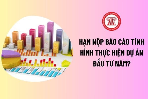 Hạn nộp báo cáo tình hình thực hiện dự án đầu tư năm? Mẫu báo cáo tình hình thực hiện dự án đầu tư năm? 