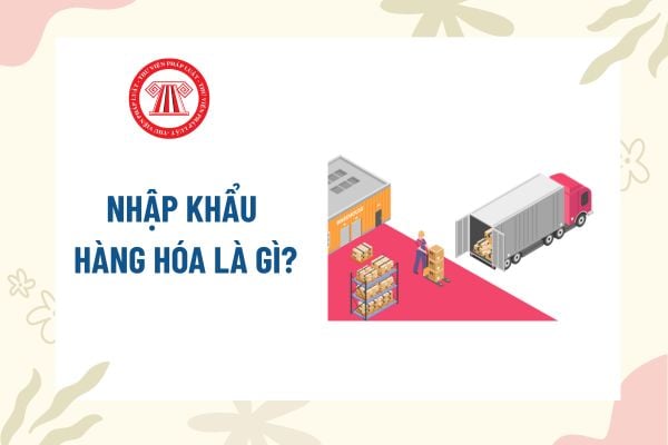 Pháp luật