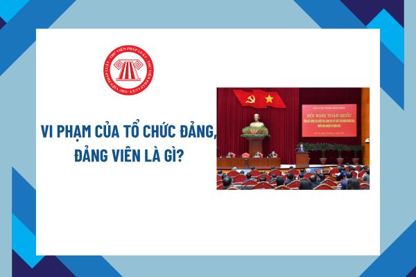 Pháp luật