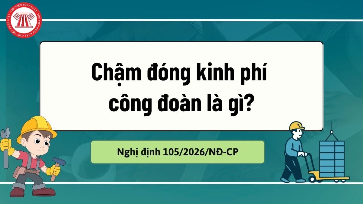 Pháp luật