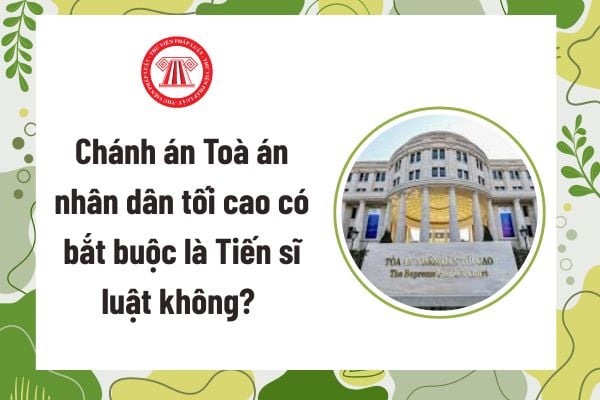 Pháp luật