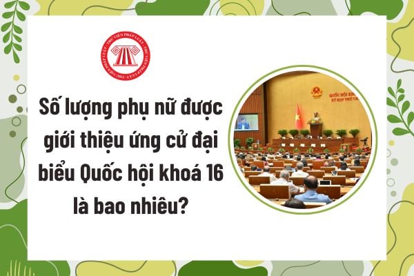 Pháp luật