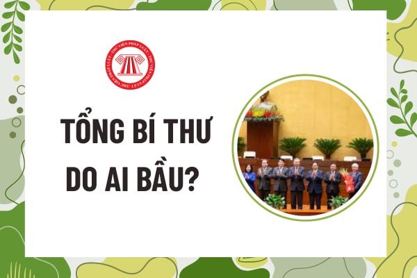 Pháp luật