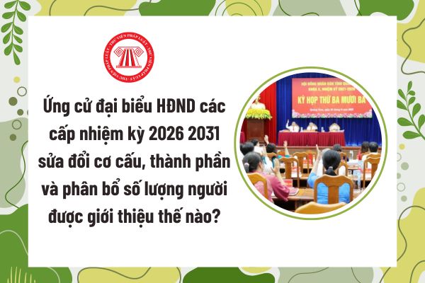 Pháp luật