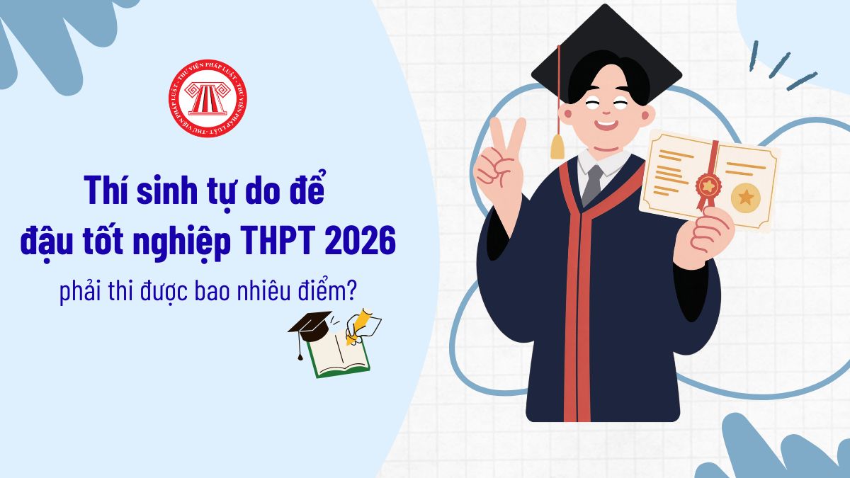 Pháp luật