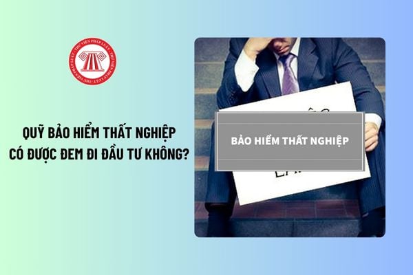 Quỹ bảo hiểm thất nghiệp có được đem đi đầu tư không? Hành vi nào được xem là trốn đóng bảo hiểm thất nghiệp?