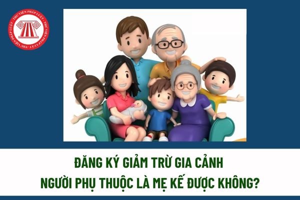 Pháp luật